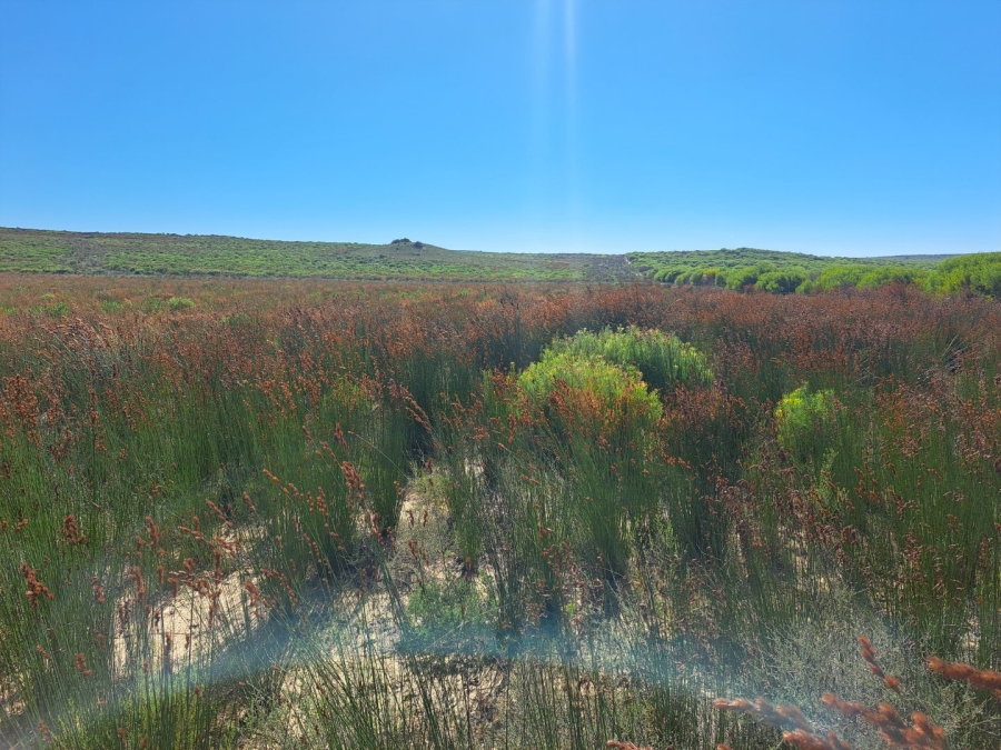  Bedroom Property for Sale in Riversdale Rural Western Cape